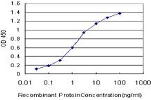 Detection limit for recombinant GST tagged STX4A is approximately 0. (Syntaxin 4 anticorps  (AA 19-119))