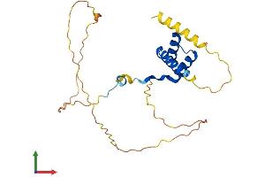 AlphaFold protein structure predicition of Mouse Recombinant Hoxa7 Protein, UniprotID P02830