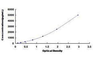 Chemokine (C-C Motif) Ligand 4 (CCL4) ELISA Kit