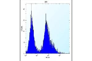 CDKN2B Antibody (C-term) (ABIN656561 and ABIN2845822) flow cytometric analysis of 293 cells (right histogram) compared to a negative control cell (left histogram).