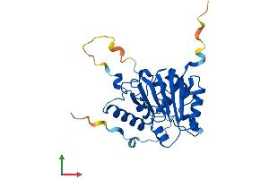 AlphaFold protein structure predicition of Mouse Recombinant Mettl1 Protein, UniprotID Q9Z120