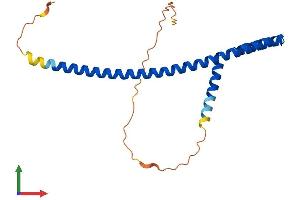 AlphaFold protein structure predicition of Human Recombinant TLE5 Protein, UniprotID Q08117