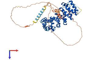 AlphaFold protein structure predicition of Mouse Recombinant Armcx1 Protein, UniprotID Q9CX83