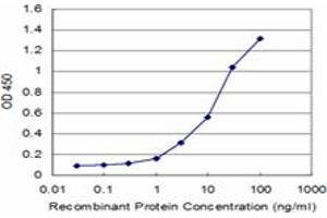 Detection limit for recombinant GST tagged PEX6 is approximately 0. (PEX6 anticorps  (AA 881-980))