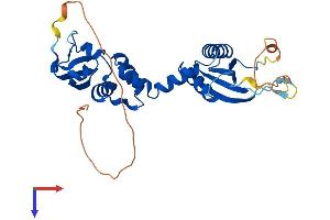 AlphaFold protein structure predicition of Human Recombinant KCTD7 Protein, UniprotID Q96MP8