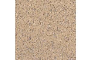 IHC analysis of TST using anti-TST antibody (ABIN7599105). (TST anticorps  (AA 1-220))