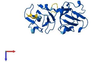 AlphaFold protein structure predicition of Human Recombinant CRYBA2 Protein, UniprotID P53672