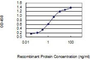 Detection limit for recombinant GST tagged PLP2 is 0. (PLP2 anticorps  (AA 1-152))