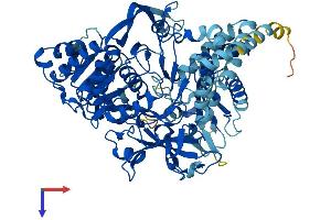 AlphaFold protein structure predicition of Mouse Recombinant Acsl4 Protein, UniprotID Q9QUJ7