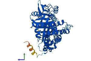 AlphaFold protein structure predicition of Mouse Recombinant Tubb2b Protein, UniprotID Q9CWF2