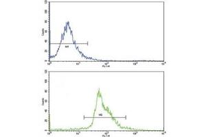 Flow cytometric analysis of WiDr cells using PAX4 antibody (bottom histogram) compared to a negative control (top histogram) (PAX4 anticorps  (AA 171-200))