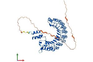 AlphaFold protein structure predicition of Mouse Recombinant Fbxl16 Protein, UniprotID A2RT62
