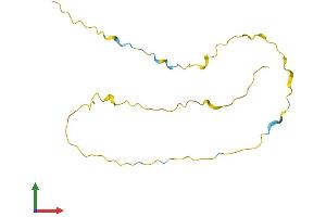 AlphaFold protein structure predicition of Human Recombinant CSNK1G2-AS1 Protein, UniprotID Q8NCQ2