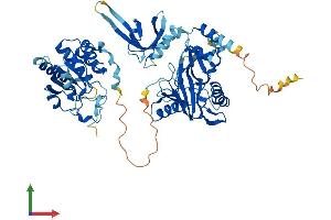 AlphaFold protein structure predicition of Human Recombinant RNGTT Protein, UniprotID O60942