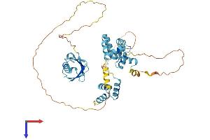 AlphaFold protein structure predicition of Mouse Recombinant Rad23b Protein, UniprotID P54728