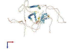 AlphaFold protein structure predicition of Human Recombinant PBXIP1 Protein, UniprotID Q96AQ6