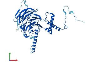 AlphaFold protein structure predicition of Mouse Recombinant Dcaf13 Protein, UniprotID Q6PAC3