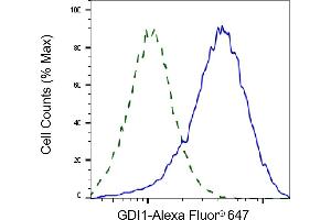 Flow cytometric analysis of GDI1 expression in HAP-1 cells using GDI1 antibody (ABIN7798699), 1:2,000). (GDI1 anticorps)