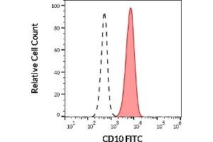 Separation of human CD10 positive neutrophil granulocytes (red-filled) from human CD10 negative lymphocytes (black-dashed) in flow cytometry analysis (surface staining) of human peripheral whole blood stained using anti-human CD10 (LT10) FITC (20 μL reagent / 100 μL of peripheral whole blood). (MME anticorps  (FITC))