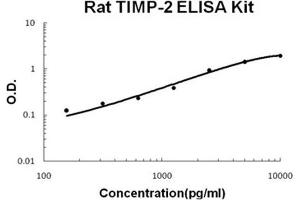 Rat TIMP-2 PicoKine ELISA Kit standard curve (TIMP2 Kit ELISA)