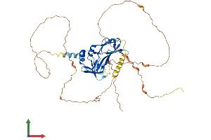 AlphaFold protein structure predicition of Human Recombinant TBX19 Protein, UniprotID O60806