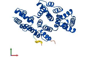 AlphaFold protein structure predicition of Human Recombinant ANXA10 Protein, UniprotID Q9UJ72
