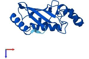 AlphaFold protein structure predicition of Human Recombinant UBE2D4 Protein, UniprotID Q9Y2X8