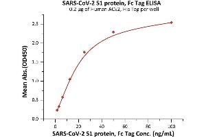 Immobilized Human ACE2, His Tag (ABIN6952618,ABIN6952641) at 2 μg/mL (100 μL/well) can bind SARS-CoV-2 S1 protein, Fc Tag (ABIN6992404) with a linear range of 2-25 ng/mL (QC tested). (SARS-CoV-2 Spike S1 Protein (B.1.351 - beta) (Fc Tag))
