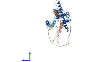 AlphaFold protein structure predicition of Human Recombinant KCNK3 Protein, UniprotID O14649