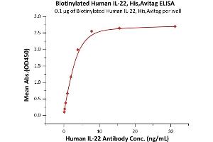 Immobilized Biotinylated Human IL-22, His,Avitag (ABIN6973118) at 1 μg/mL (100 μL/well)on streptavidin  precoated (0. (IL-22 Protein (AA 34-179) (His tag,AVI tag,Biotin))