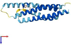 AlphaFold protein structure predicition of Human Recombinant CNIH3 Protein, UniprotID Q8TBE1
