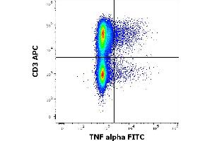 Flow cytometry multicolor intracellular staining pattern of human PHA stimulated peripheral blood mononuclear cells stained using anti-human TNF alpha (MAb11) FITC antibody (4 μL reagent per milion cells in 100 μL of cell suspension). (TNF alpha anticorps  (FITC))