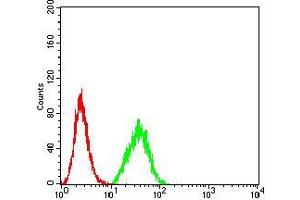 Flow cytometric analysis of Hela cells using DDX1 mouse mAb (green) and negative control (red). (DDX1 anticorps  (AA 642-740))