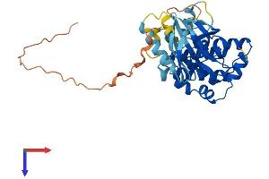 AlphaFold protein structure predicition of Mouse Recombinant Map2k3 Protein, UniprotID O09110