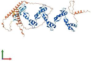 AlphaFold protein structure predicition of Human Recombinant ZNF852 Protein, UniprotID Q6ZMS4