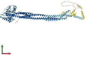 AlphaFold protein structure predicition of Human Recombinant MFN1 Protein, UniprotID Q8IWA4