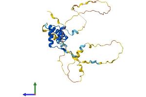 AlphaFold protein structure predicition of Human Recombinant EMX2 Protein, UniprotID Q04743