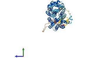 AlphaFold protein structure predicition of Human Recombinant SLC22A13 Protein, UniprotID Q9Y226