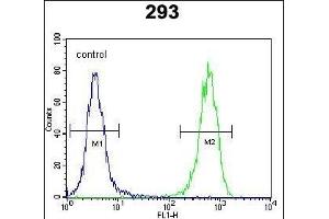 PTK9L Antibody (N-term) (ABIN655611 and ABIN2845093) flow cytometric analysis of 293 cells (right histogram) compared to a negative control cell (left histogram). (TWF2 anticorps  (N-Term))