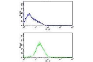 Caspase-2 antibody flow cytometric analysis of HL-60 cells (bottom histogram) compared to a negative control cell (top histogram). (Caspase 2 anticorps  (AA 198-226))