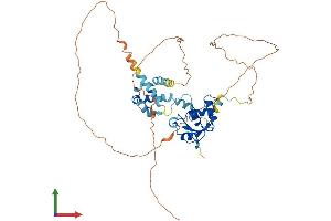 AlphaFold protein structure predicition of Human Recombinant ETS2 Protein, UniprotID P15036