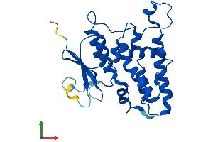 AlphaFold protein structure predicition of Mouse Recombinant Clic3 Protein, UniprotID Q9D7P7