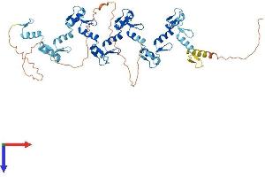 AlphaFold protein structure predicition of Human Recombinant ZNF623 Protein, UniprotID O75123