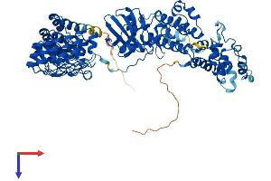 AlphaFold protein structure predicition of Human Recombinant RNASEL Protein, UniprotID Q05823