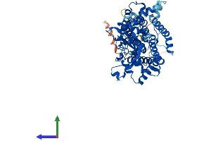 AlphaFold protein structure predicition of Human Recombinant LMF1 Protein, UniprotID Q96S06