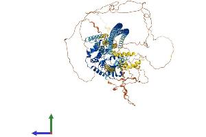 AlphaFold protein structure predicition of Human Recombinant TAOK2 Protein, UniprotID Q9UL54