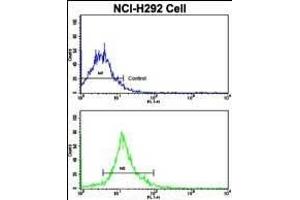 Flow cytometric analysis of NCI- cells using SOX2 Antibody (N-term)(bottom histogram) compared to a negative control cell (top histogram). (SOX2 anticorps  (N-Term))