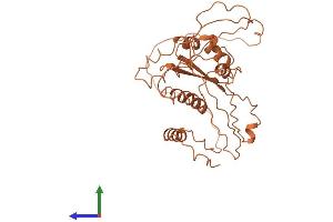 AlphaFold protein structure predicition of Human Recombinant LINC01599 Protein, UniprotID Q8WXQ3