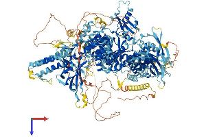 AlphaFold protein structure predicition of Human Recombinant PIK3C2B Protein, UniprotID O00750