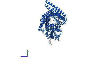 AlphaFold protein structure predicition of Human Recombinant IFT70A Protein, UniprotID Q86WT1